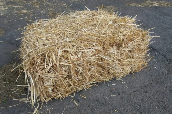 Продам солому- фото № 1