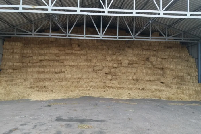 Продам солому- фото № 2