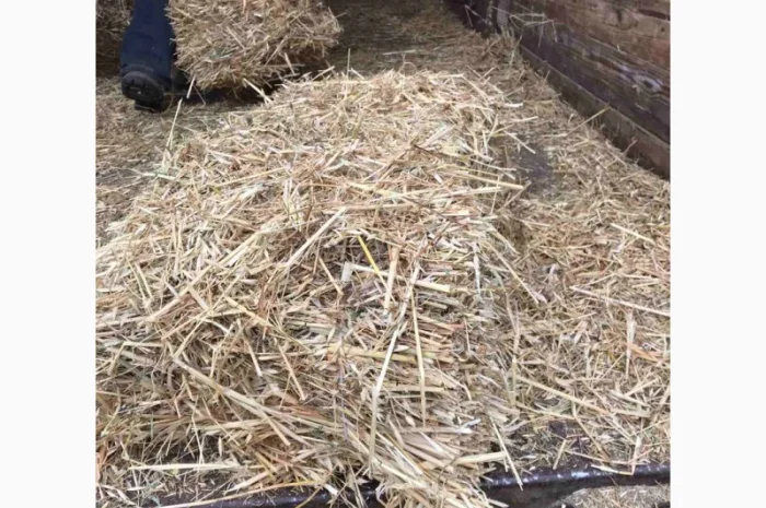 Солома тюкована для будівництва- фото № 1
