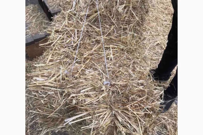 Солома тюкована для будівництва- фото № 2