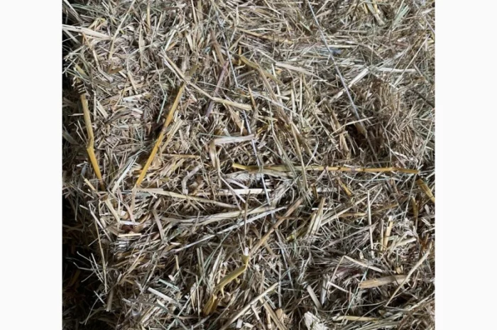 Солома тюкована для будівництва- фото № 3