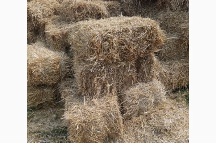 Продам солому в тюках- фото № 3