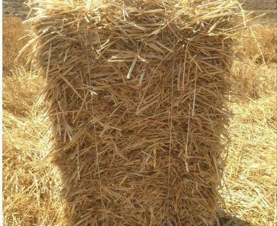 Солома в Тюках- фото № 1
