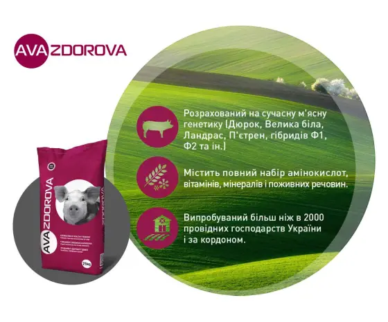 БМВД для лактирующих свиноматок AVA ZDOROVA ЛАКТО 20%- фото № 4