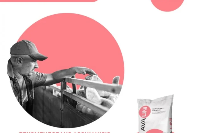 Добавка до комбікорму БМВД для свиней 30-65кг AVA UNI Фініш 10%- фото № 3