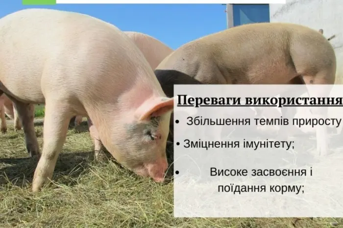 Премікс 1% для поросят старт(Швеція)- фото № 1