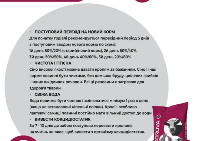 Премикс для кроликов с 20-го дня и кролематок AVA RABBIT MIX 5%- фото № 6