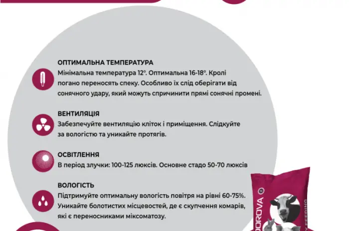 Премикс для кроликов с 20-го дня и кролематок AVA RABBIT MIX 5%- фото № 7