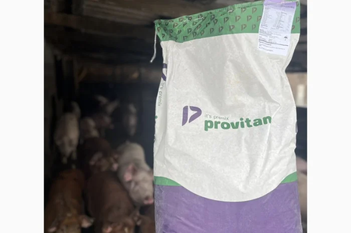 Премікс 2% для відгодівлі свиней- фото № 1