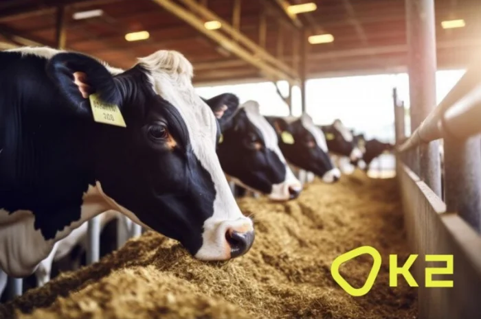 Високопротеіновий соняшниковий концентрат ХайПро- фото № 1