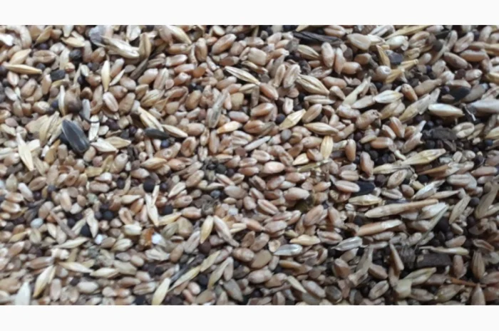 Продам зерносмесь- фото № 1