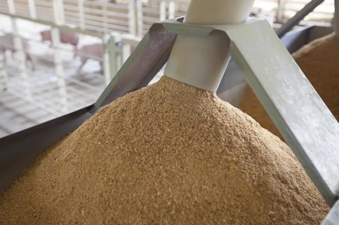 Соєва макуха від виробника- фото № 1