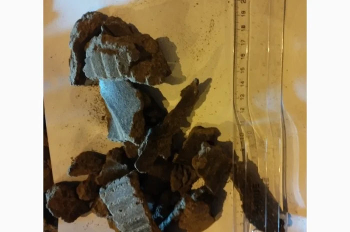 Макуха соняшника 32- фото № 1