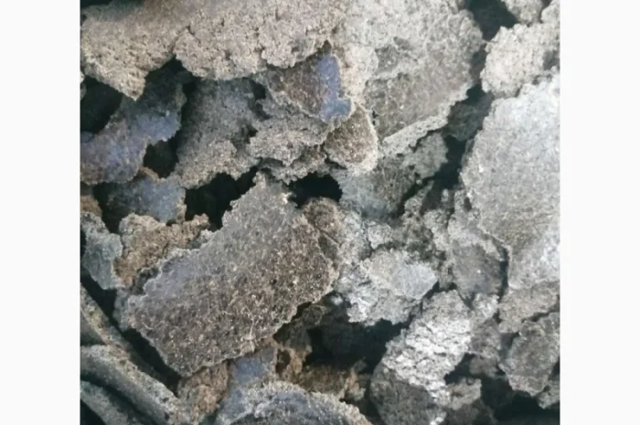 Купуємо макуху (жмих)соняшника на експорт- фото № 1