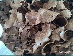 Купуємо макуху (жмих) лляну на експорт- фото № 1