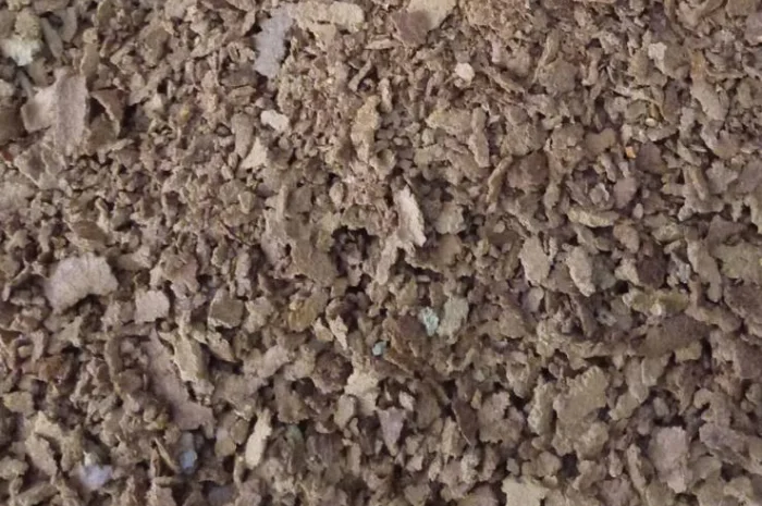 Продам макуху з гарбузового насіння- фото № 1