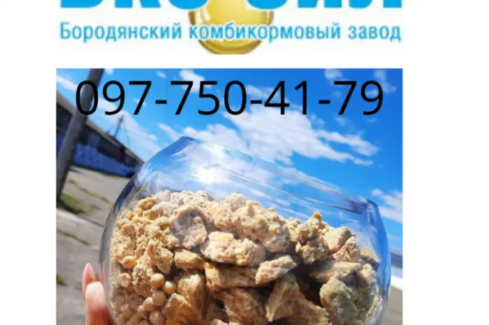 Продаем натуральную соевую макуху высокого качества- фото № 1