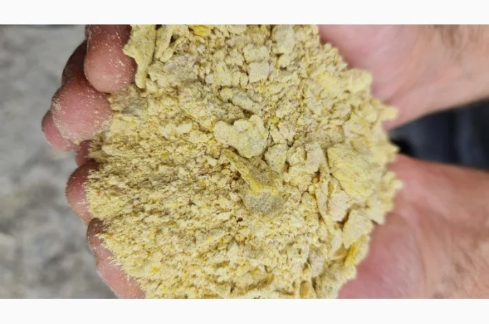 Жмых кукурузы/макуха в продаже- фото № 6