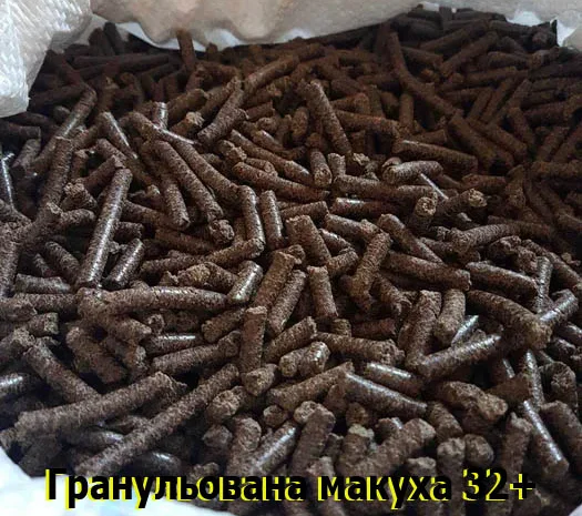 Макуха жмых в бегах Подсолнечник 33- фото № 1