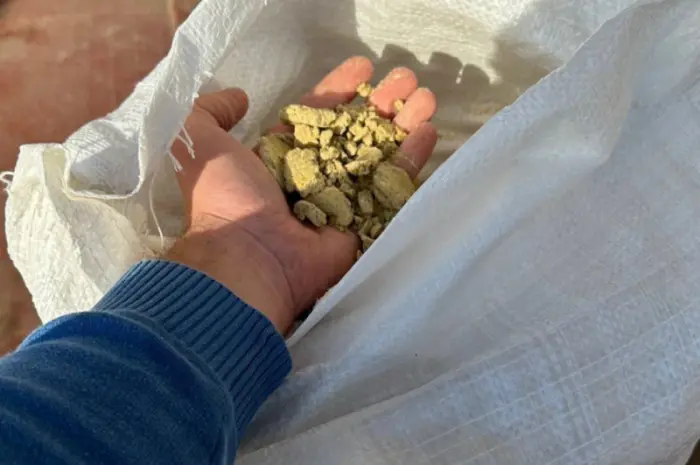 Продам Соєву(Соевую)Макуху, Соєвий Жмих, Соєвий Шрот Нова Пошта УкрПошта- фото № 4