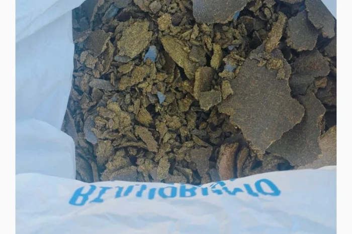 Макух ріпаковий- фото № 1