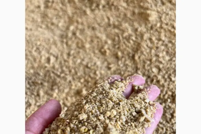 Польська компанія AgroTorg Sp. z o.o. закуповує макуху соєву (не ГМО) на ЕКСПОРТ- фото № 1