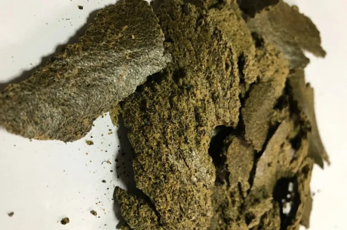 Рапсовый жмых- фото № 1