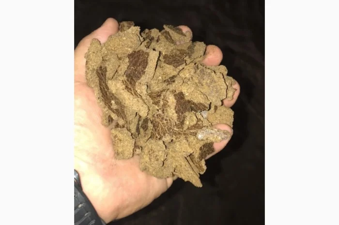 Продам рапсовый жмых- фото № 1