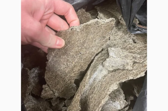 Продам Макуху / Жмых подсолнечный- фото № 5