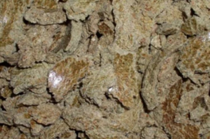 Продажа шрота и макухи оптом- фото № 1