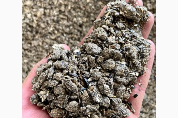 Шрот подсолнечника от производителя- фото № 1