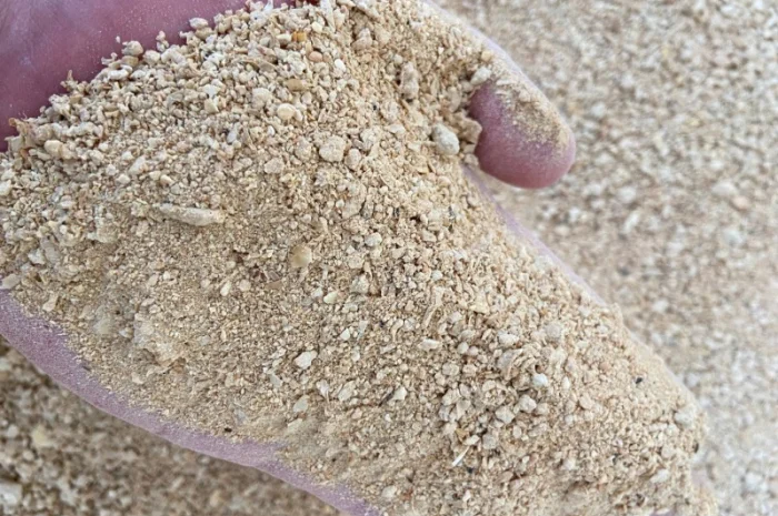 Соевый шрот от производителя- фото № 1