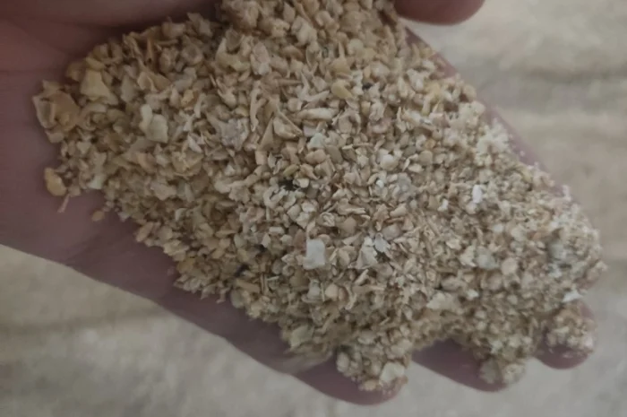 Продается соевый шрот оптом- фото № 1