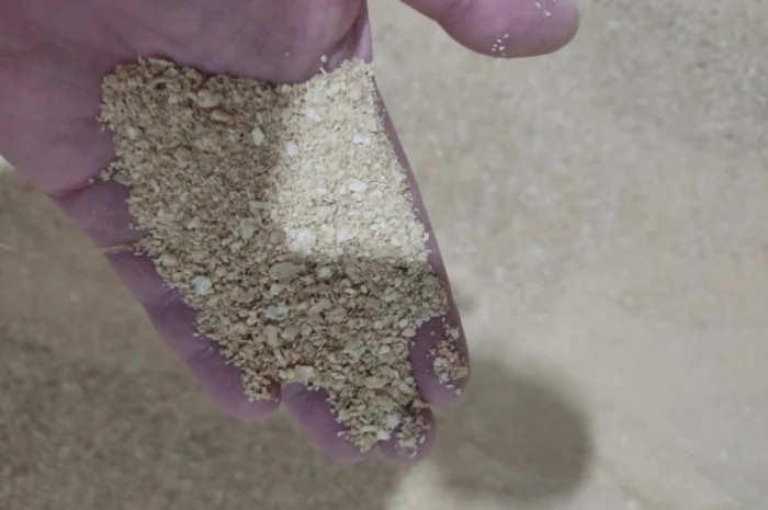 Продается соевый шрот оптом- фото № 2