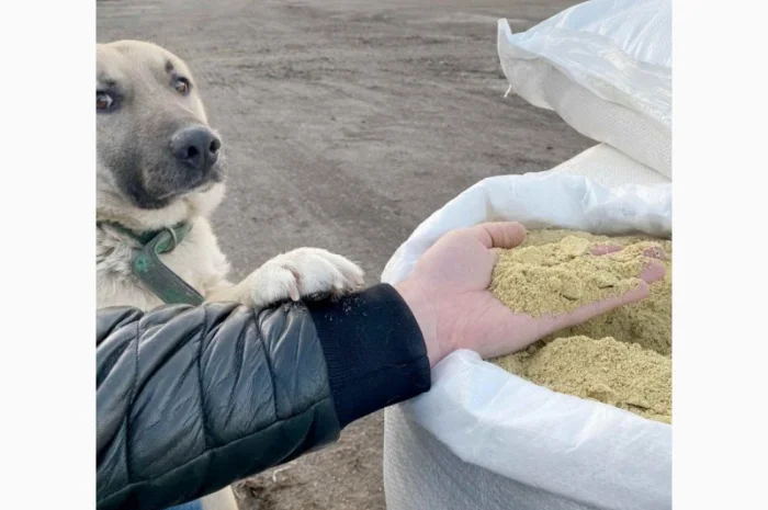 Продается соевый шрот от 45 кг, протеин 44-45%- фото № 4