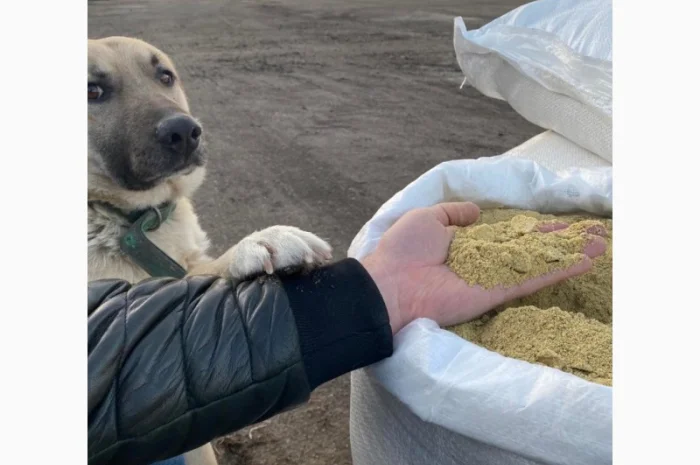 Продаж соєвого шроту з доставкою- фото № 1