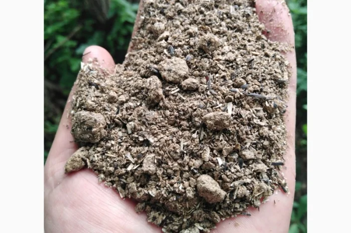 Куплю Шрот соняшниковий- фото № 1