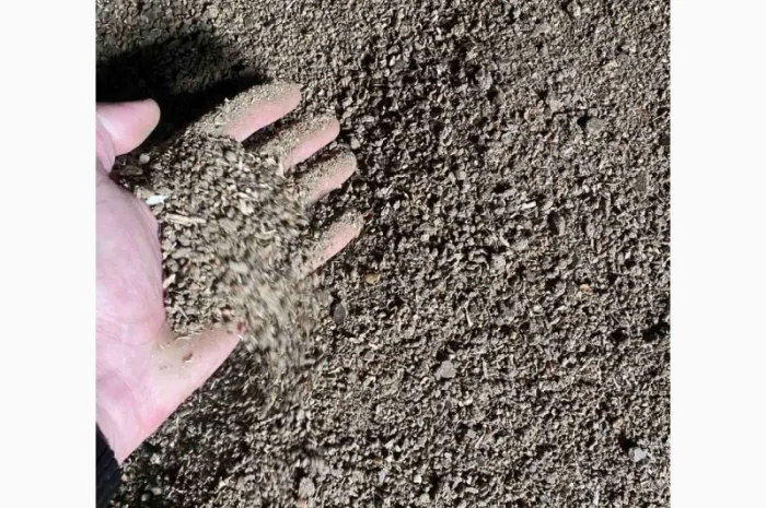 Пропонується шрот соняшника з високим вмістом протеїну- фото № 4