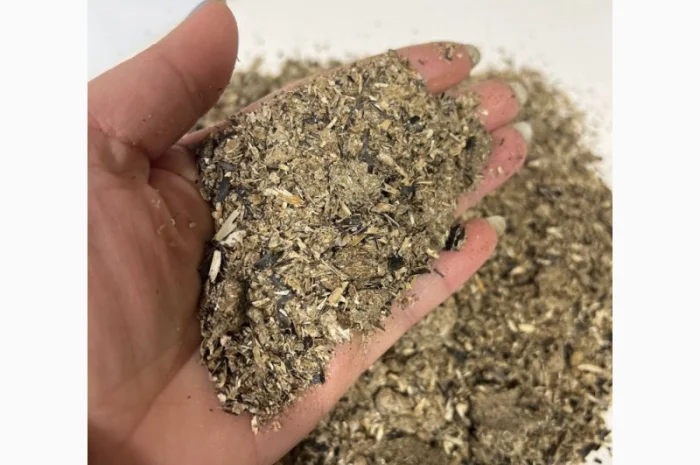 Соняшниковий шрот з протеїном 39% - вигідна пропозиція!- фото № 3