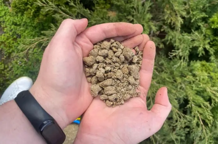 Продам Соняшниковий шрот. ТОП ЯКІСТЬ! Фасовка у мішки 20-30 кг. Доставка- фото № 4