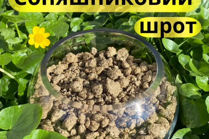 Семечковый шрот! Протеин 39% Упаковка 20-30 кг.- фото № 2