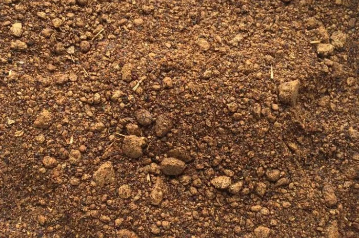 Закупаем негранулированный рапсовый шрот- фото № 1