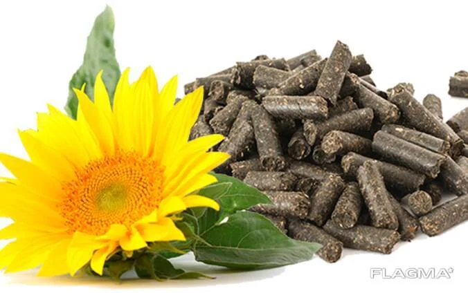 Куплю Соняшниковий Шрот на експорт 38% протеїну- фото № 1