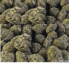 Шрот соняшниковий- фото № 1