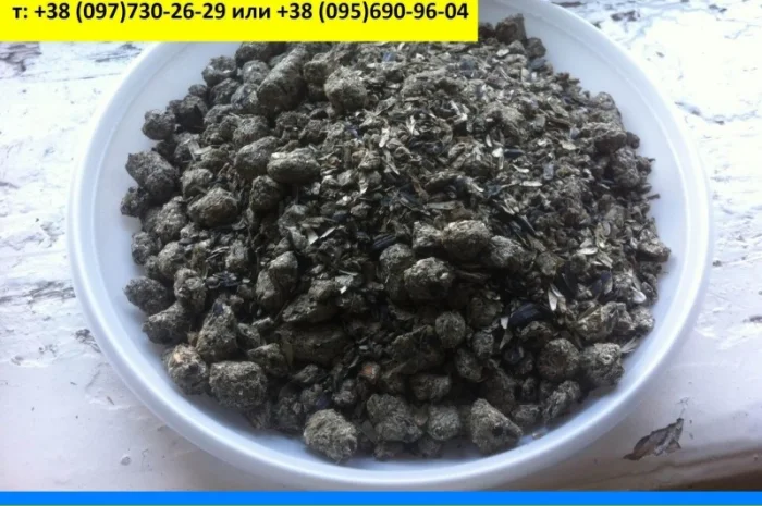 Подсолнечный шрот- фото № 1