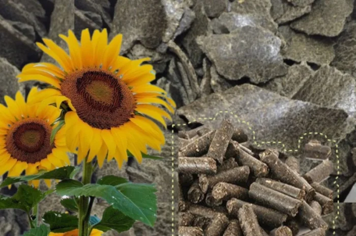 Шрот соняшника продам- фото № 1