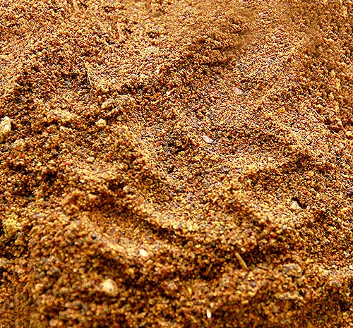 Продамо шрот ріпаковий- фото № 1