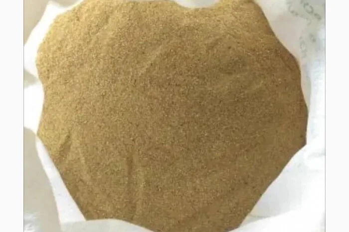 Кормовые дрожжи с высоким содержанием белка- фото № 1