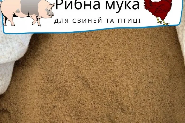 Предлагаем качественную рыбную муку - протеин 63-66%, 69-73%- фото № 1