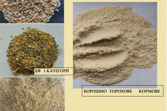 Борошно горохове- фото № 5